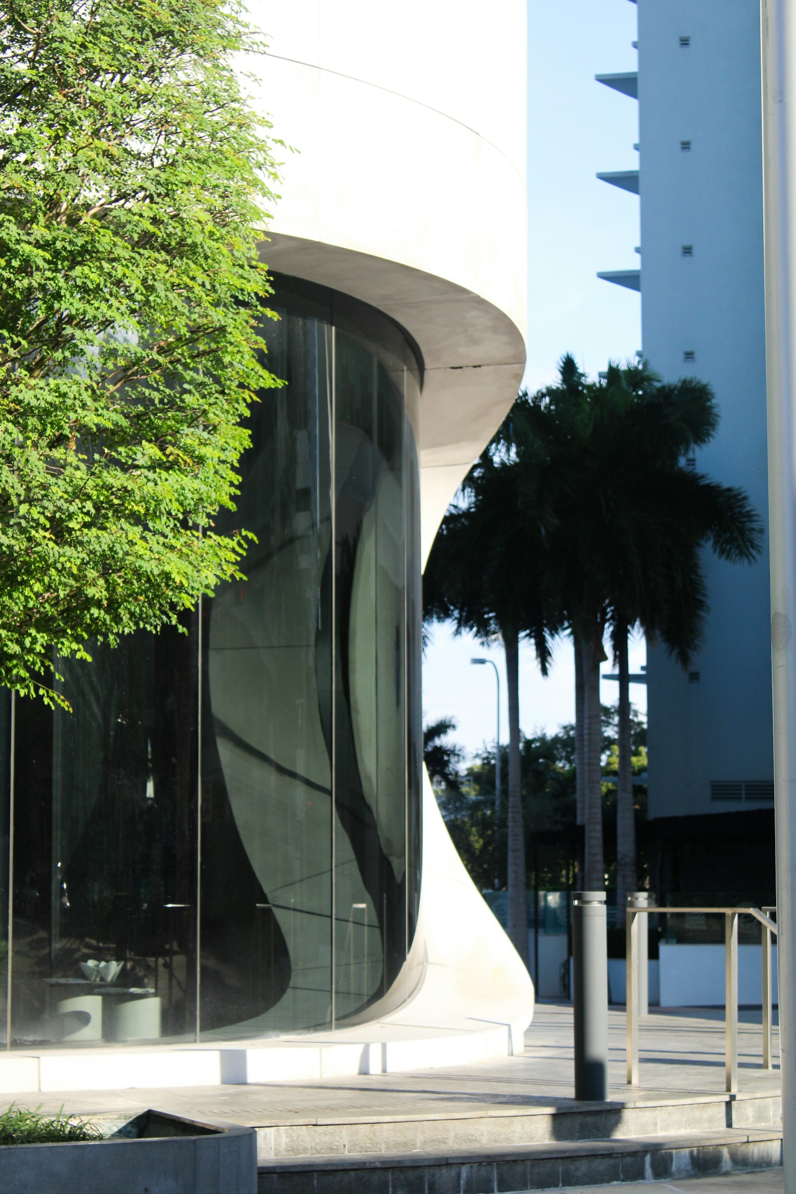 Modern commercial architecture framed by palm trees